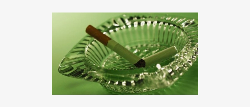 “as A Society, We're Starting To Understand More The - Smoking, transparent png download