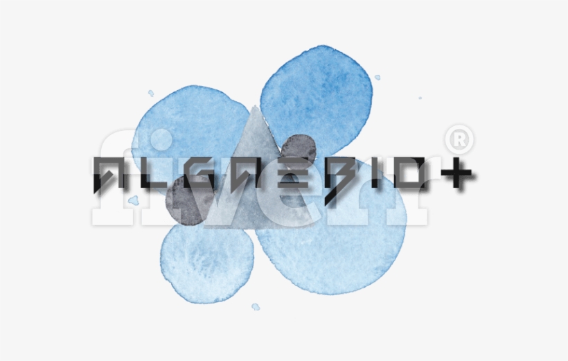 Insect, transparent png download