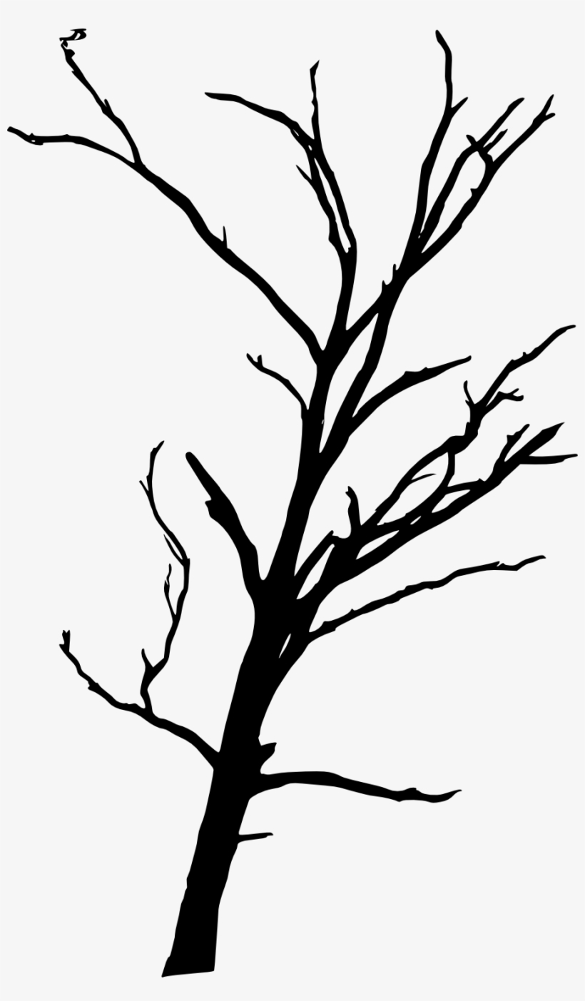 Free Download - Dead Tree Transparent, transparent png download