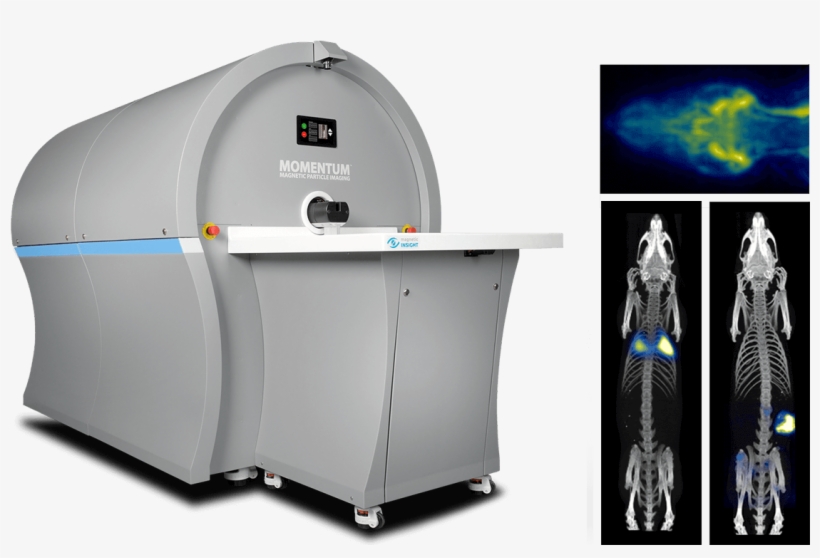 Neurovascular Perfusion And Blood Pool Imaging - Magnetic Particle Imaging, transparent png download