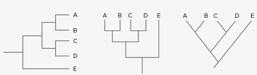 Diagram, transparent png download