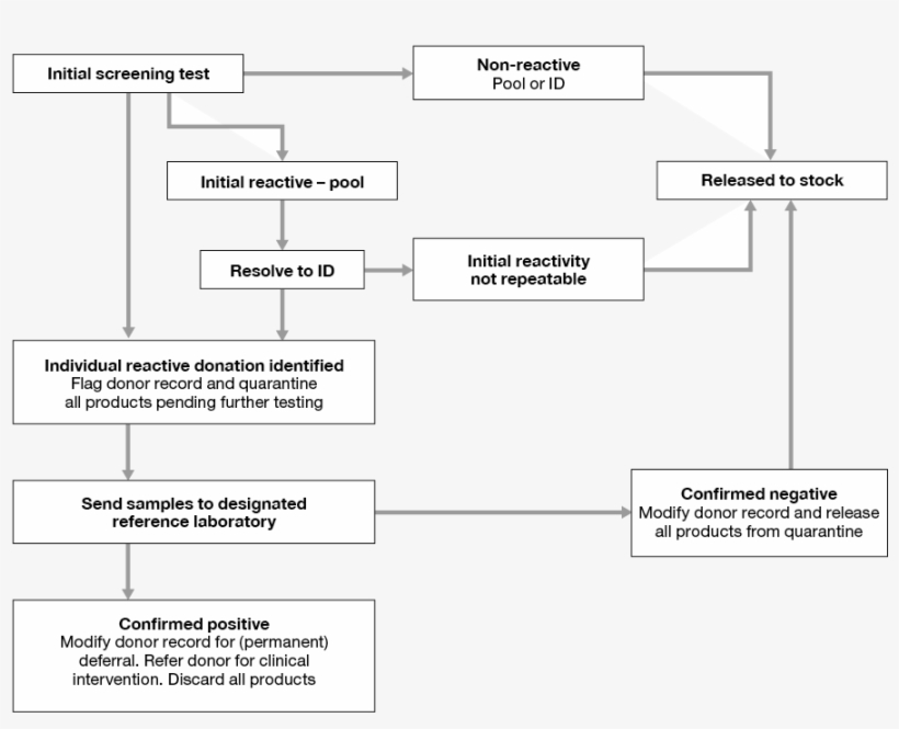 38999 - Portable Network Graphics, transparent png download
