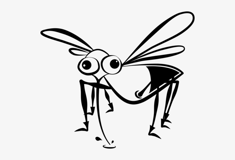 Blood Sucker - Insect Cartoon Black And White Png, transparent png download