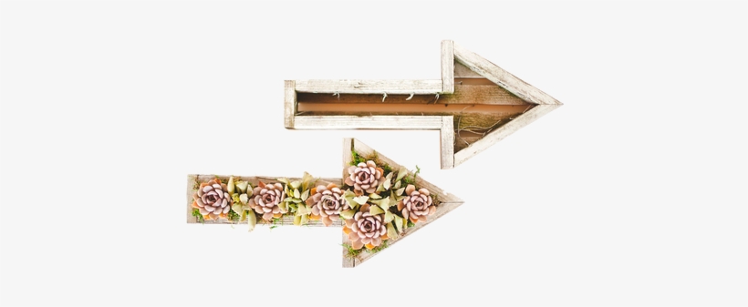 Wood, transparent png download