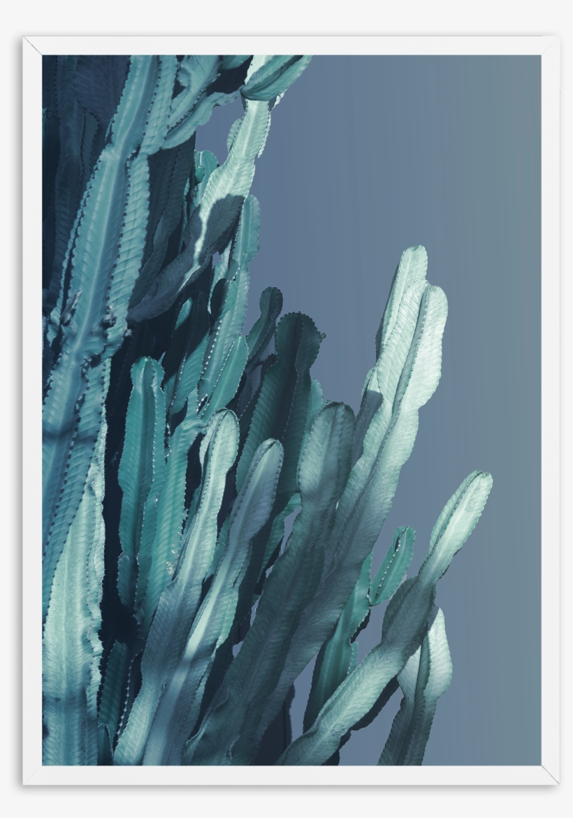 Cactus In Blue No 2 - Cactus, transparent png download