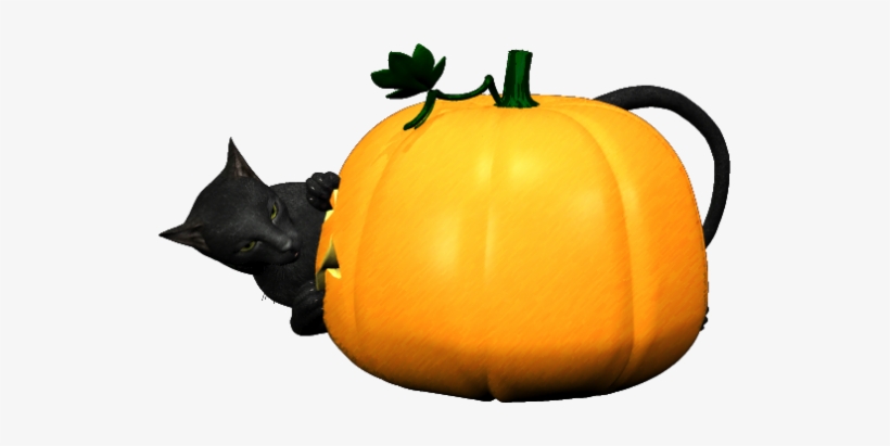 Pumpkin-150 - Gourd, transparent png download