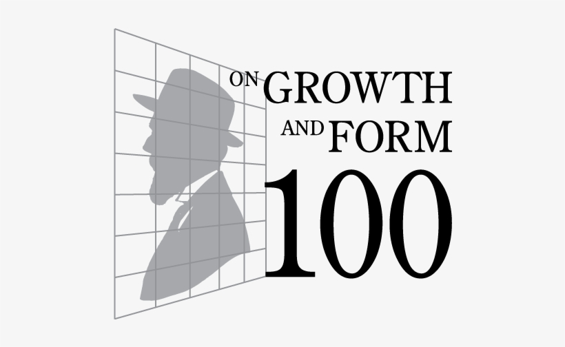 Our Celebrations For The Centenary Of D'arcy Thompson's - Northern Lights, transparent png download