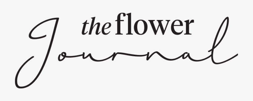 Calligraphy, transparent png download