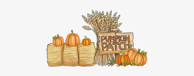 Pumpkins Wheat Haybale Pumpkin Patch - Pumpkin, transparent png download