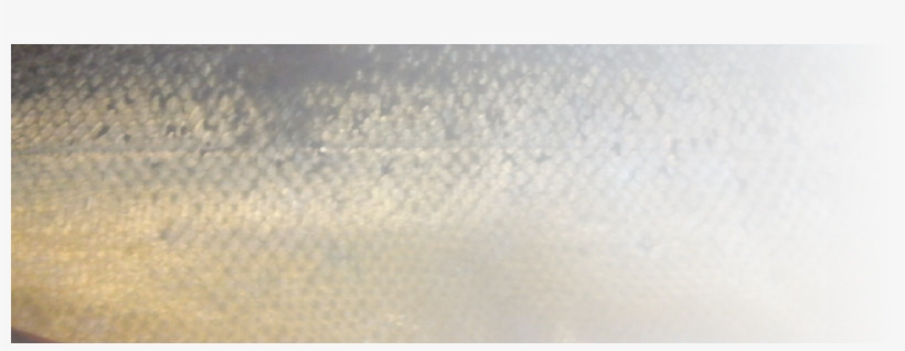 Contrary To Popular Understanding, At The Haven Smokehouse - Ivory, transparent png download