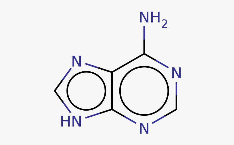 ), Bdbm181146 - Methyl Adenin, transparent png download