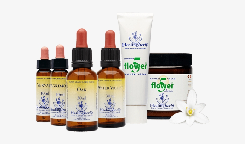 Healing Herbs Bach Flowers, transparent png download