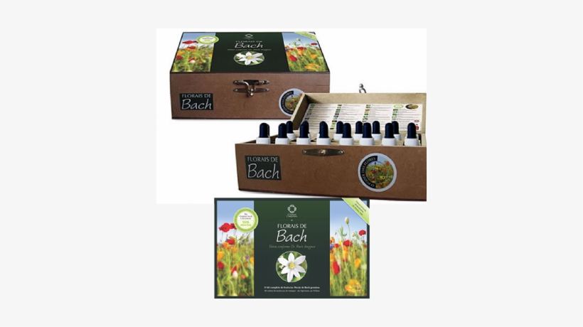 Passe - Kit Florais, transparent png download