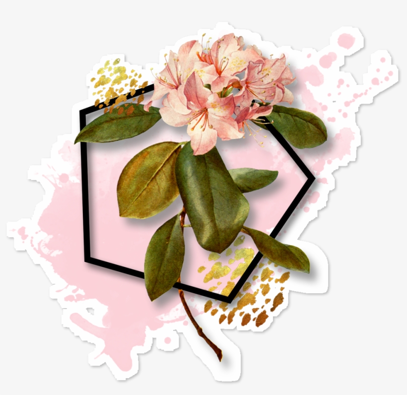 French Botanical Pink Flower Queen Duvet, transparent png download