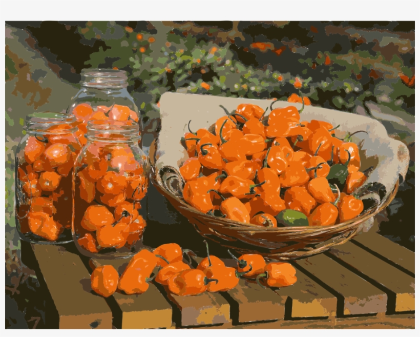 Tiger Claw Pepper Clipart Habanero Bell Pepper Chili - Habanero Pepper 2017 - 25 (all Non-gmo Heirloom Vegetable, transparent png download