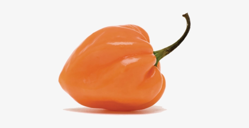 Habanero Pepper - Habanero Chili, transparent png download