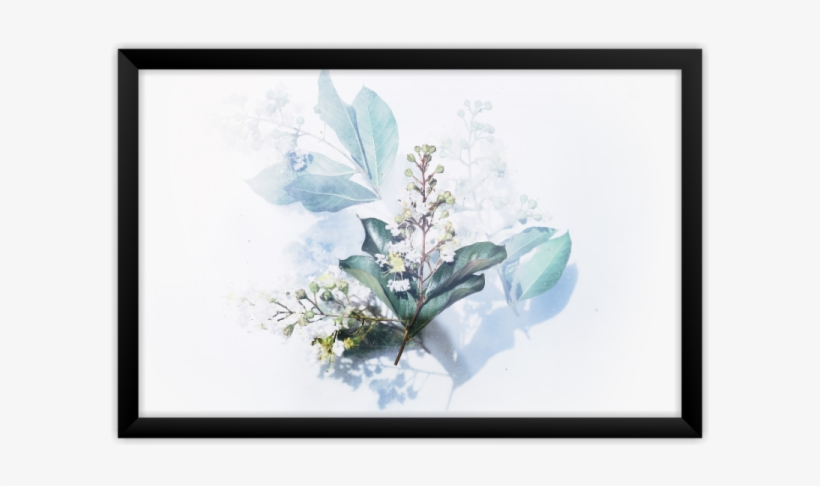 Quadro Floral - Wallpaper, transparent png download