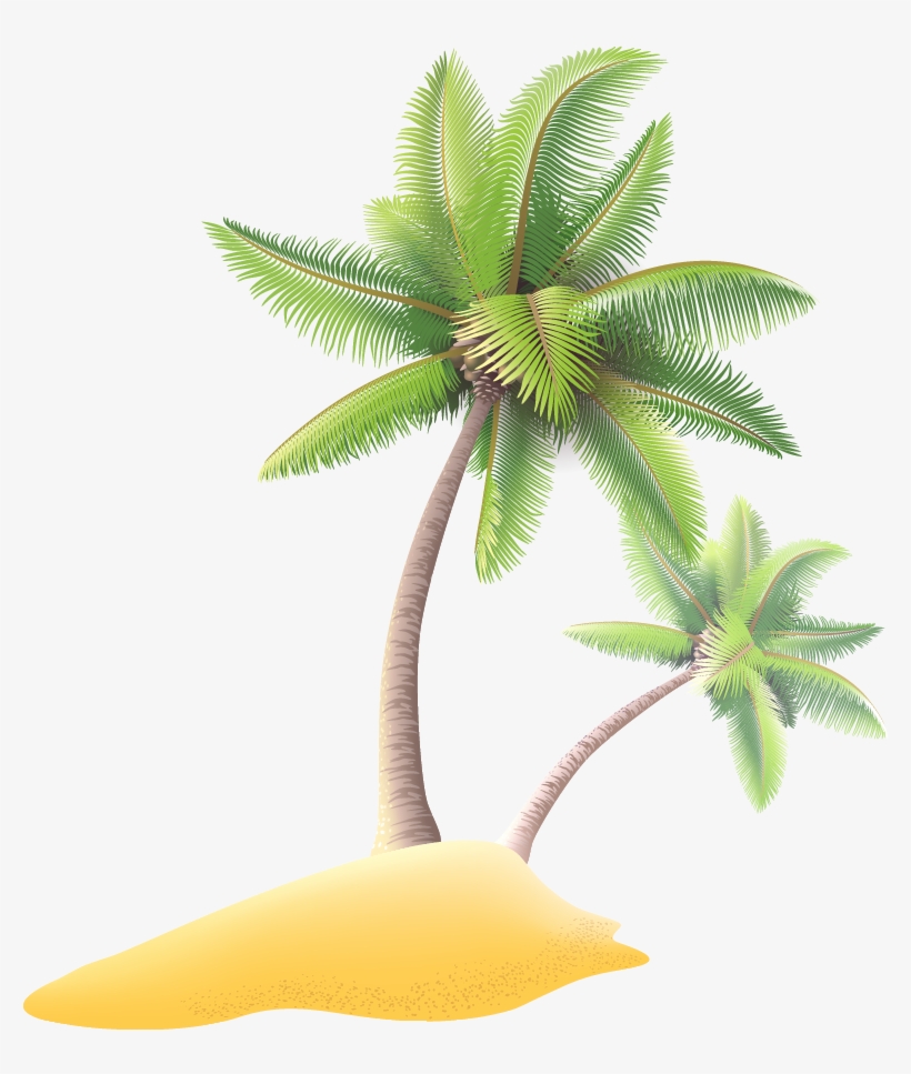 Svg Transparent Luxury Yacht Illustration Coconut Tree - Coconut, transparent png download