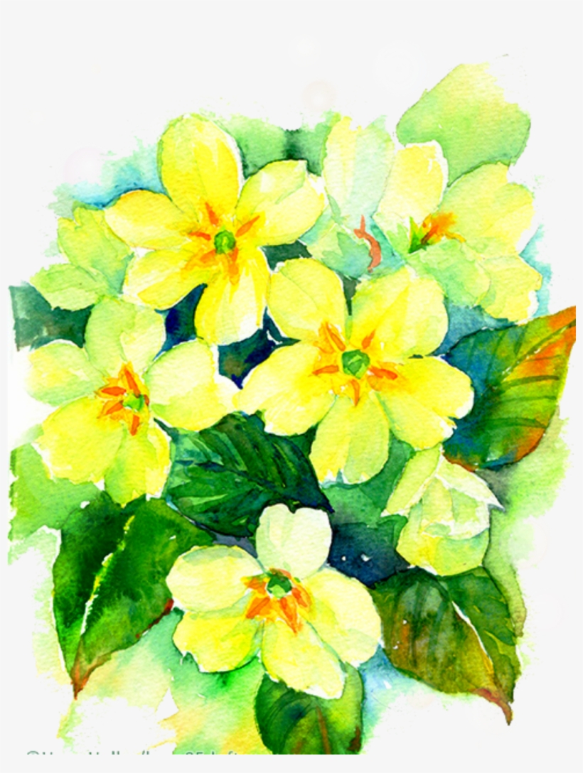Report Abuse - Watercolor Painting, transparent png download