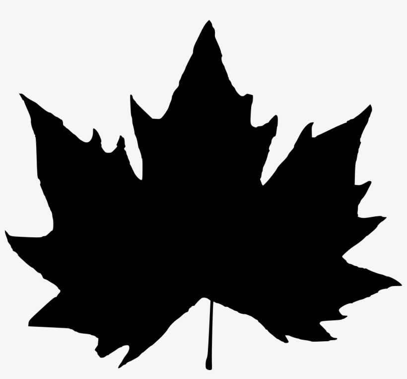 Free Download - Maple Leaf Silhouette Png, transparent png download