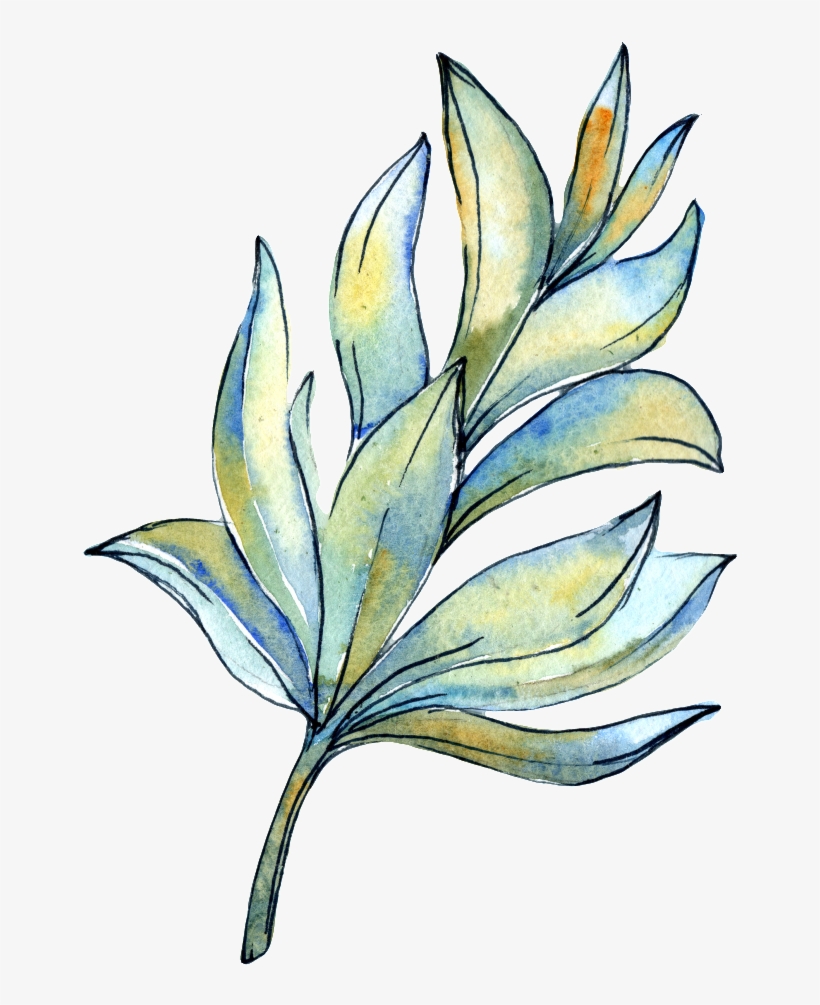 Hand Painted Fairy Grass Png Transparent In The Fairy - Watercolor Painting, transparent png download