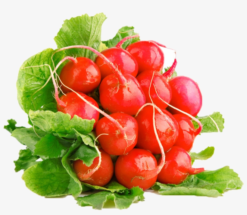 Radish Png Free Commercial Use Image - Vegetable, transparent png download