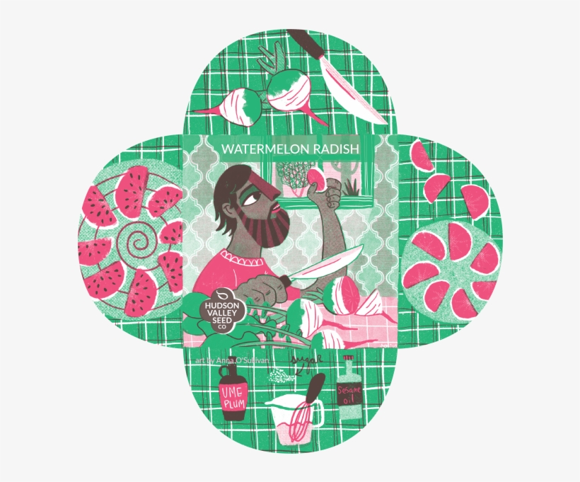 Watermelon Radish On Display - Illustration, transparent png download