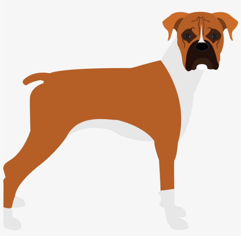 Boxer, transparent png download