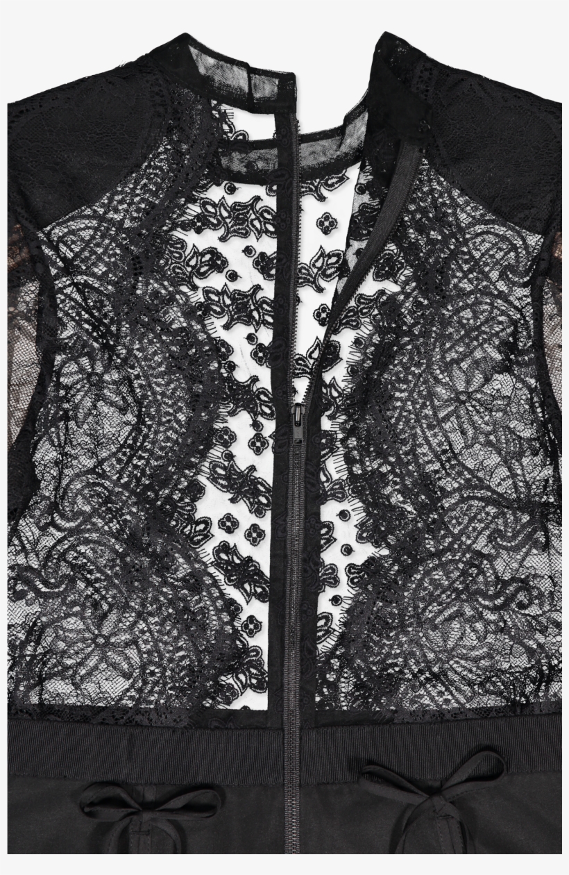 Long Sleeve Fine Lace Dress Black - Monochrome, transparent png download