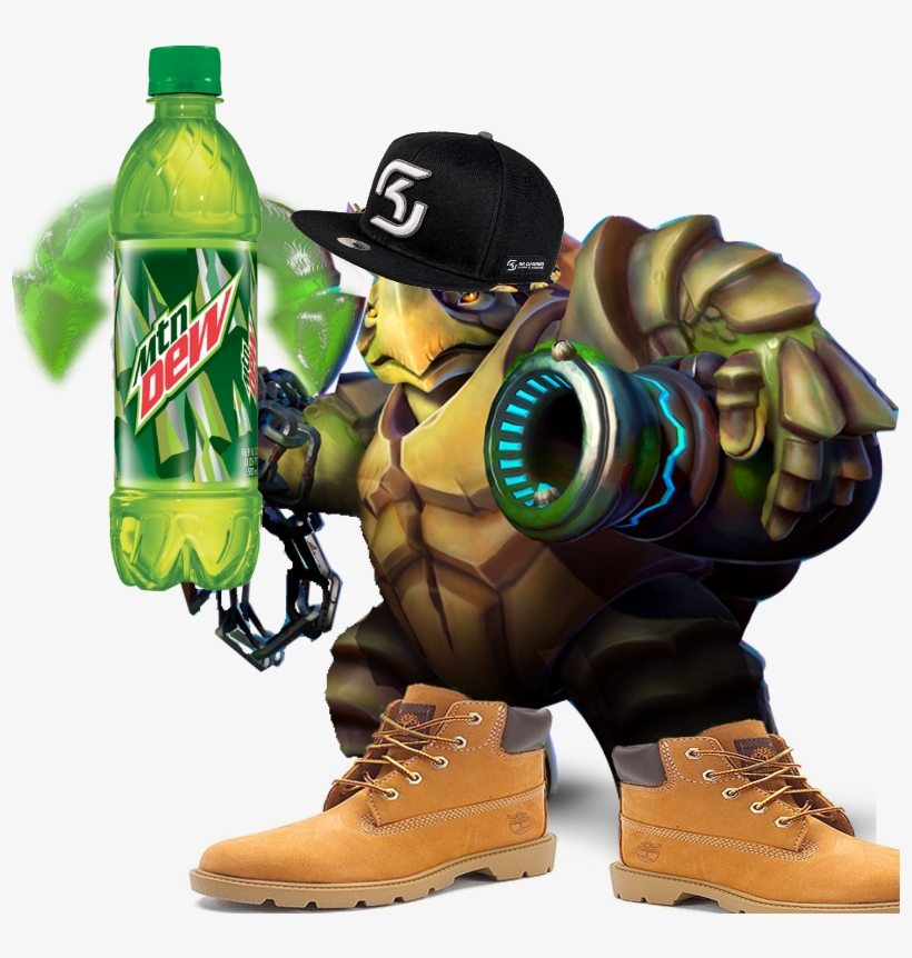 W1flverified Account - Paladins Turtle, transparent png download