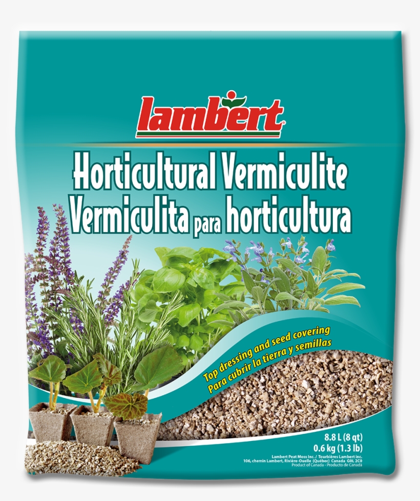Lambert - Emmer, transparent png download