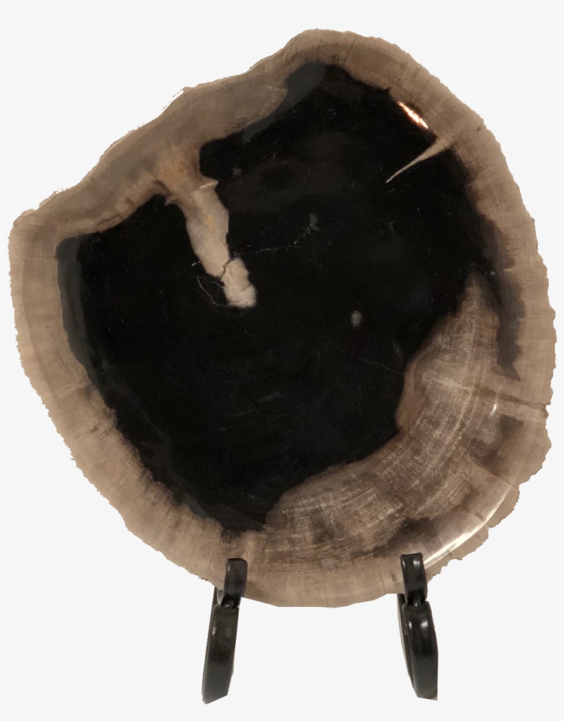 Circle, transparent png download