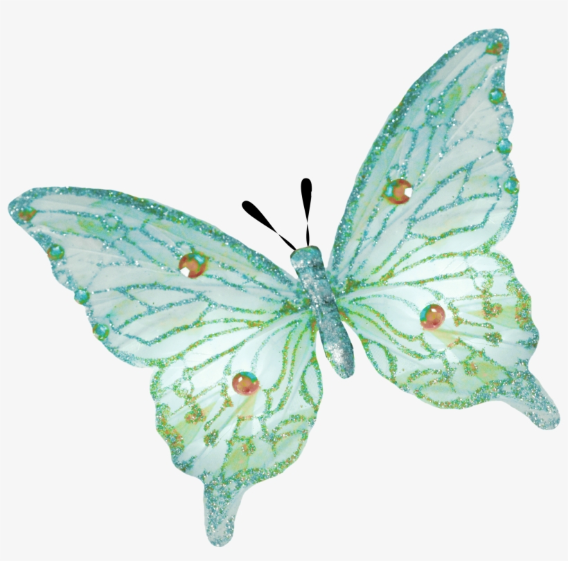 2381 X 2241 4 - Tiny Butterfly Png, transparent png download
