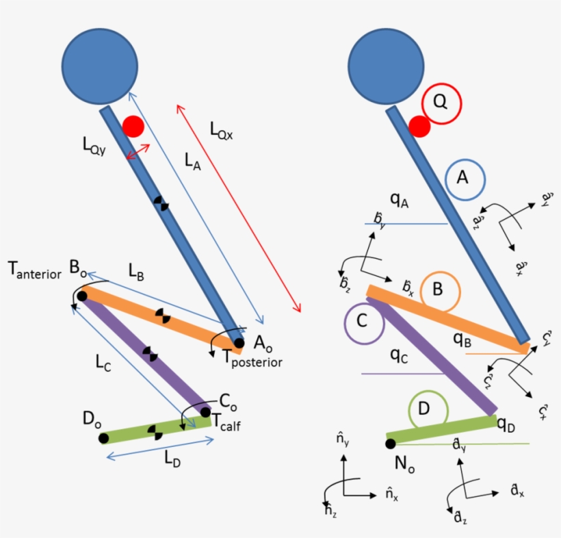 Model, transparent png download