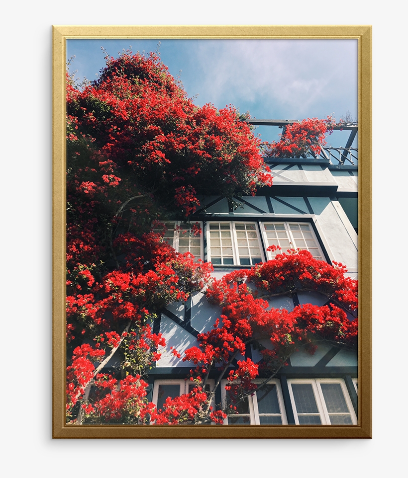 Picture Frame, transparent png download