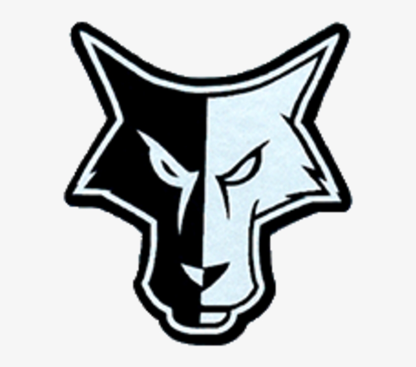 Banner Free Stock Longhorn Drawing Iroquois - Waverly South Shore Coyotes, transparent png download