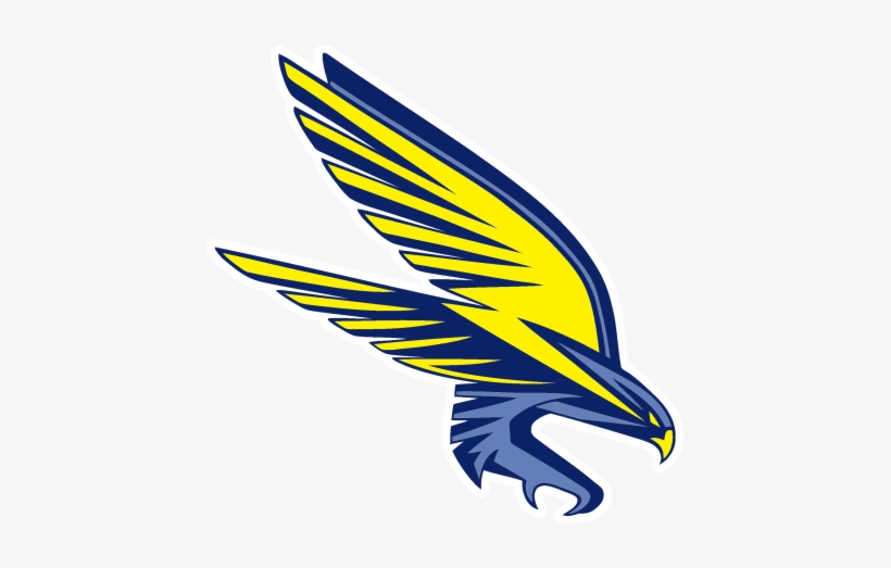 Falcon - Spring Woods Middle School, transparent png download