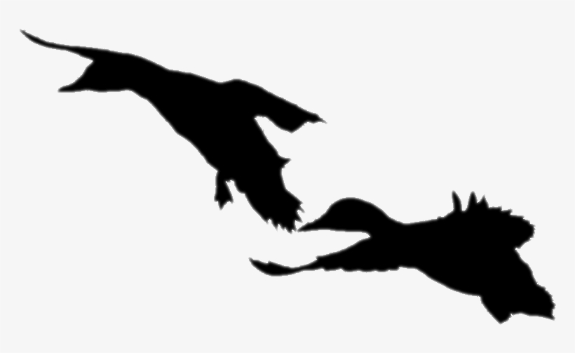 Handmade Custom Duck And Goose Calls - Eagle, transparent png download