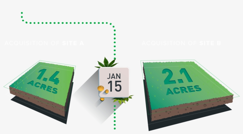 Having Commenced Recreational Sales On January 1st, - Sign, transparent png download