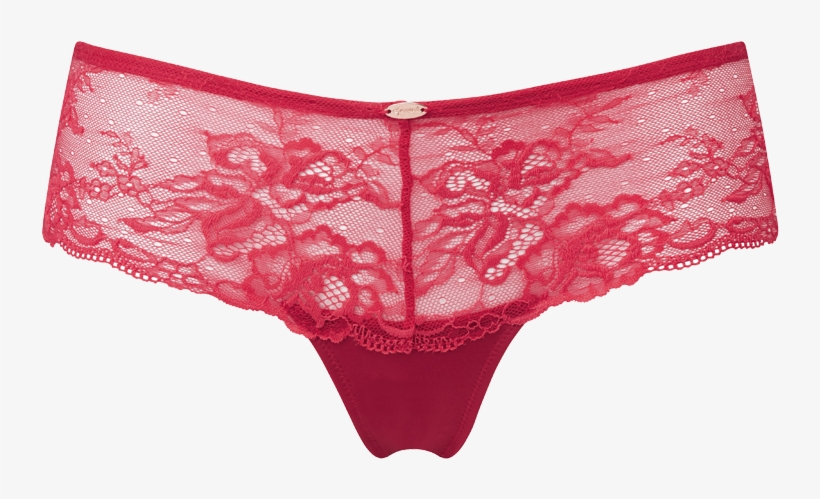 Zoom - Panties, transparent png download