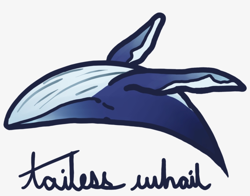 1600 X 1600 1 - Whale, transparent png download