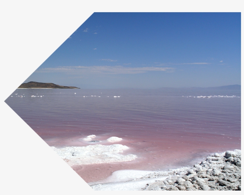 Great Salt Lake Salt - Sea, transparent png download