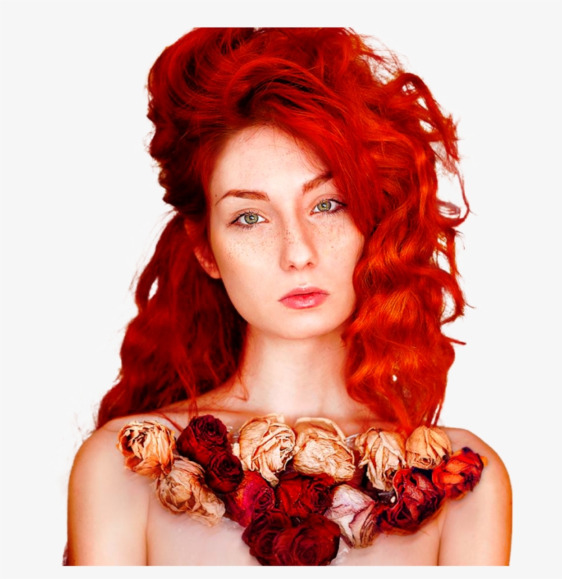 Tyler Hoechlin Png, transparent png download