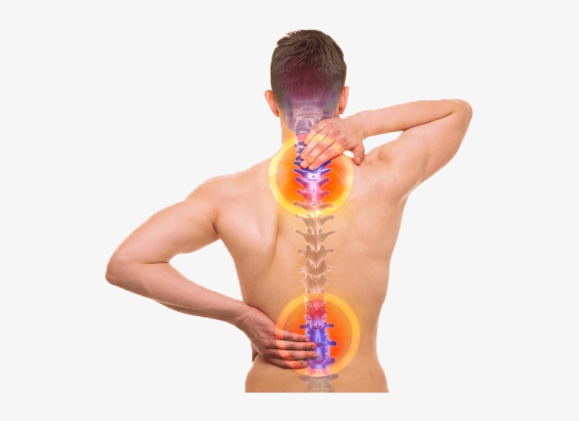 4 Reasons To See An Orlando Auto Injury Doctor Rather - Spine Issues, transparent png download