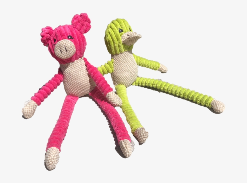 Paisley Paws Plush Squeaky Pig Dog Toy - Teddy Bear, transparent png download