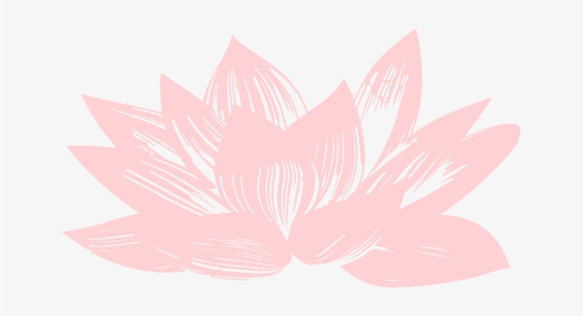 Boton-twitter - Sacred Lotus, transparent png download