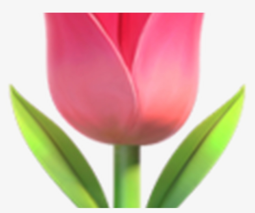 Transpa Flower Emoji Hot Trending Now - 🌷 Emoji, transparent png download