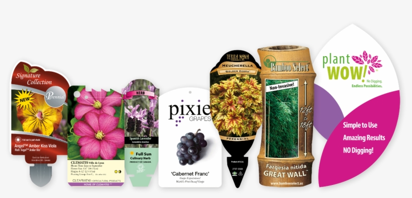 Bring Us Both Your Art And Shape - Malva, transparent png download