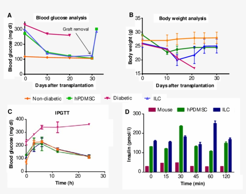 Fasting Blood Glucose Levels Indicate That Mice In - Diagram, transparent png download
