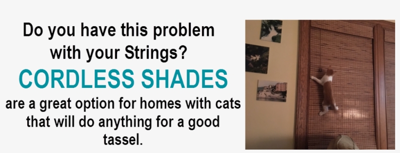 Interior Shutters - Paper, transparent png download